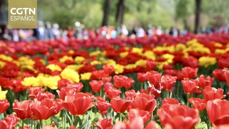 Conservaci&oacute;n de la Biodiversidad en Jardines Bot&aacute;nicos