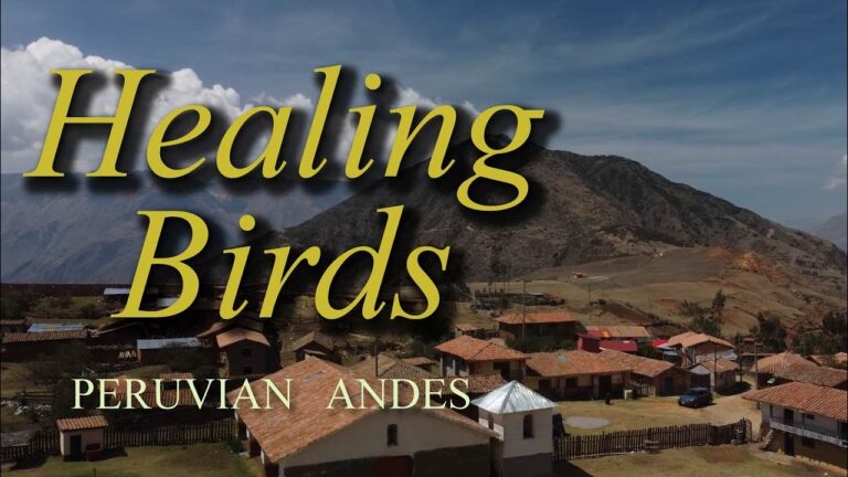 Avistamiento de Aves en Monta&ntilde;as Nevadas: Una Experiencia &Uacute;nica