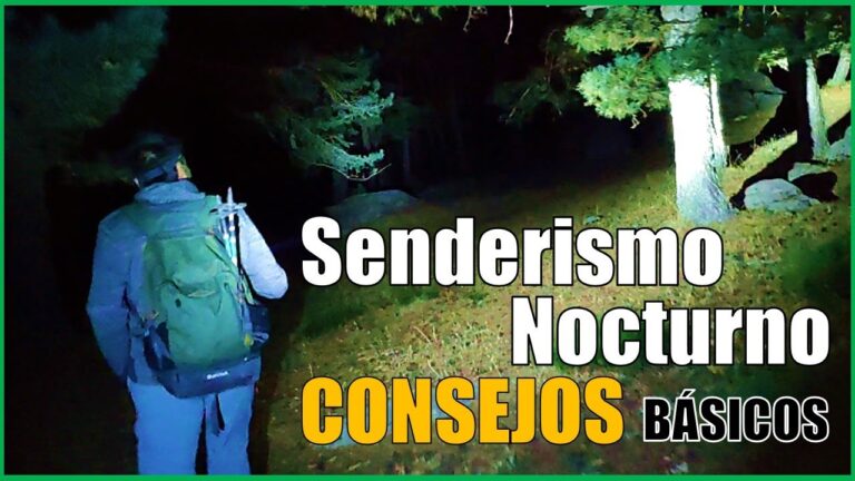 Caminatas Nocturnas: La Magia del Senderismo Bajo las Estrellas