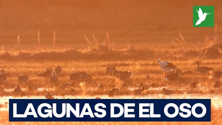Belleza Natural de Lagos y Lagunas: Un Patrimonio Paisaj&iacute;stico