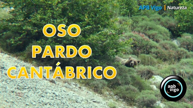 Reservas de la Biosfera: Clave para la Coexistencia Humano-Naturaleza