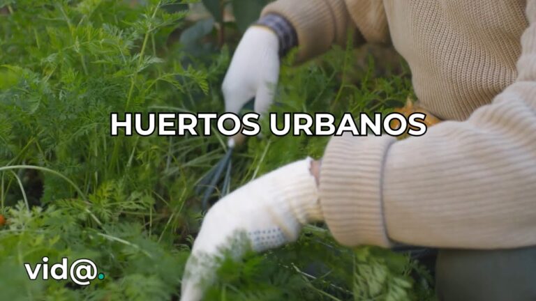Innovaciones en Jardines y Huertos Urbanos