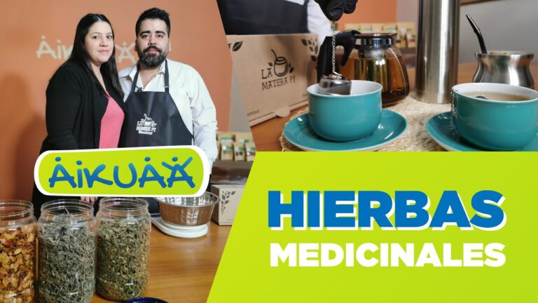 Flores Aromáticas para Relajación en Espacios Verdes