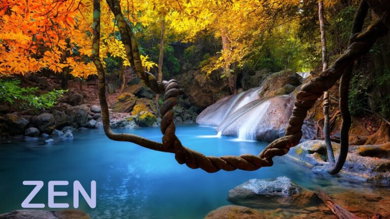 Disfruta de una Pausa en la Naturaleza con un Picnic Perfecto