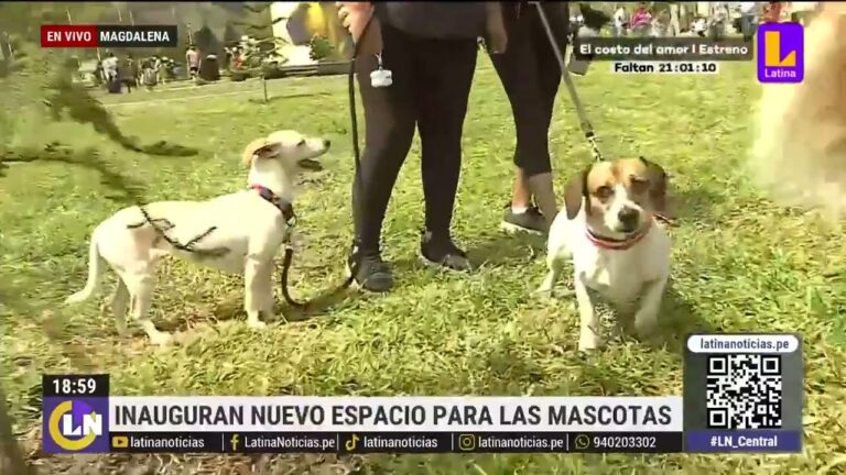 &Aacute;reas Verdes para Mascotas en Parques de Juegos