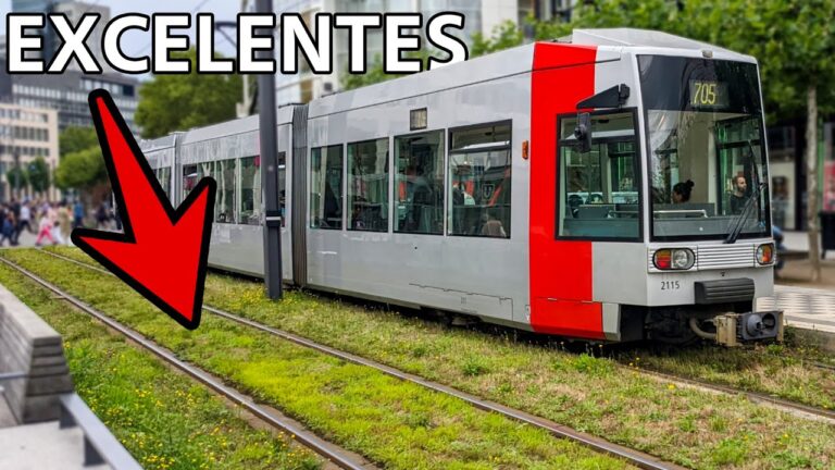 Beneficios de las Vías Verdes en Entornos Urbanos