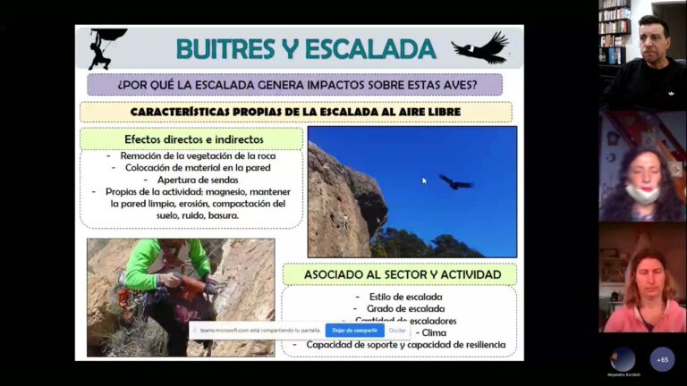 Material Esencial para Escalada: Todo lo que Necesitas