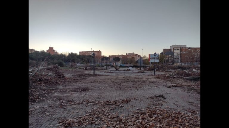 La historia natural de los parques urbanos con &aacute;rboles centenarios