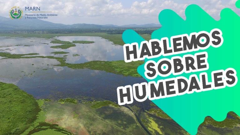 Especies Amenazadas en Humedales Protegidos