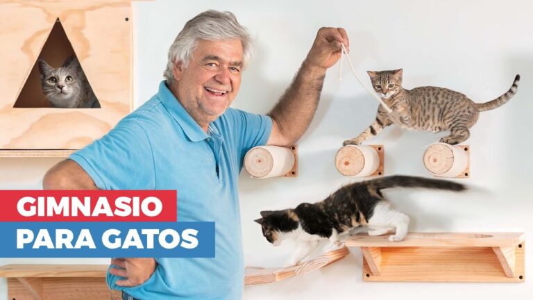 Estancias Ideales para Escaladores en Zonas de Escalada