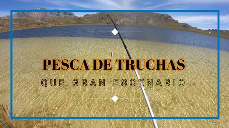 Los Mejores Destinos para la Pesca Recreativa en Lagunas