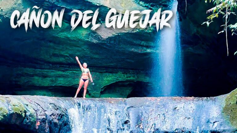 Top Atracciones Naturales para Avistamiento de Aves en Ca&ntilde;ones