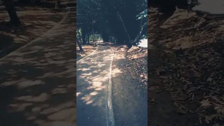 Retiros Espirituales en la Naturaleza: Conexi&oacute;n y Renovaci&oacute;n en Parques