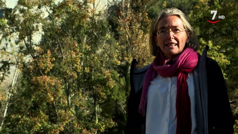 Inmersi&oacute;n Hist&oacute;rica en Parques Culturales