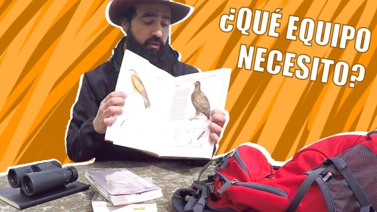 Encuadres Naturales en Parques de Monta&ntilde;a: Belleza y Conservaci&oacute;n