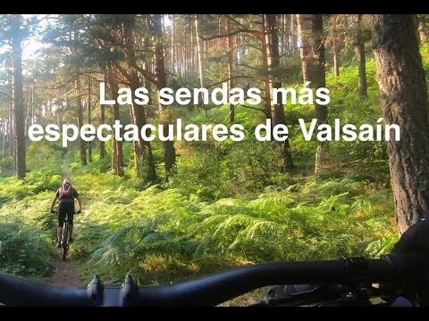 Explorando Rutas de Ciclismo en Entornos Arborados