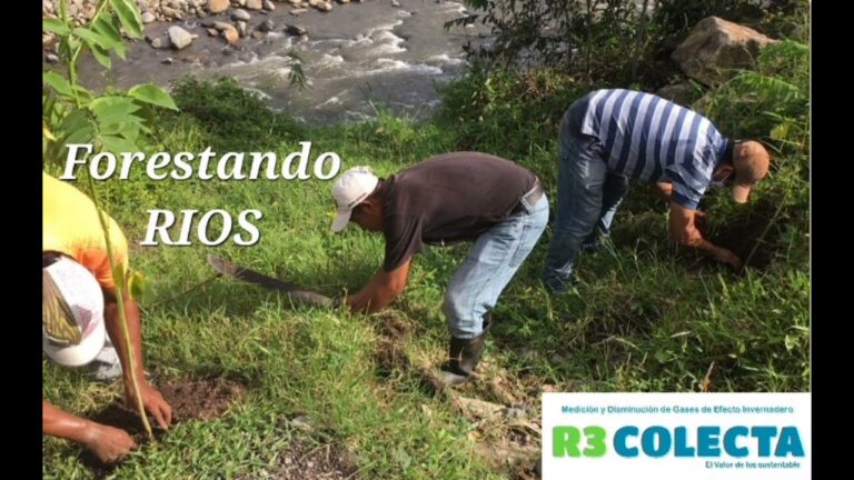 Diversidad de Aves en Zonas Ribere&ntilde;as