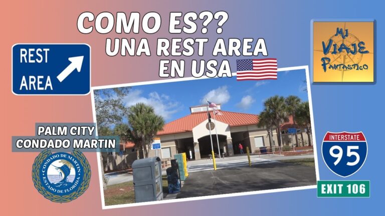 Picnic Perfecto: Disfruta en Áreas de Descanso