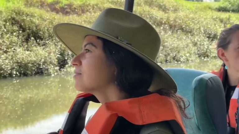 Aventura Ornitológica en Parques Naturales