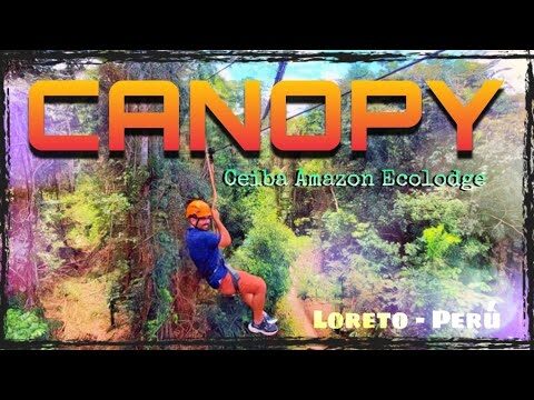 Aventura en la Selva: Tirolesa y Naturaleza