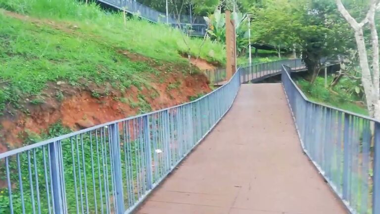 Explorando la Naturaleza en Parques Exclusivos