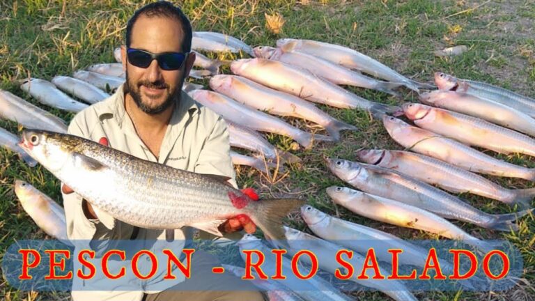 Emoci&oacute;n y Diversi&oacute;n en la Pesca de R&iacute;os