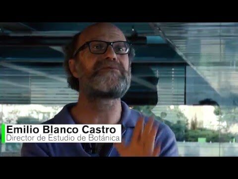 Evoluci&oacute;n de la Bot&aacute;nica en Jardines Hist&oacute;ricos