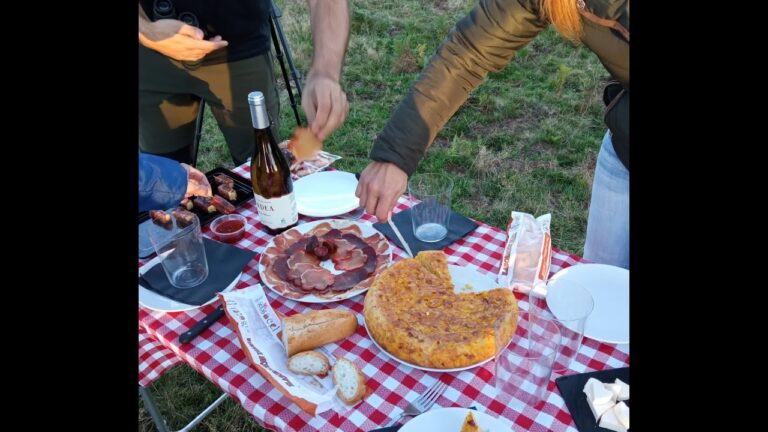 Ideas Creativas para Planes de Picnic en la Naturaleza