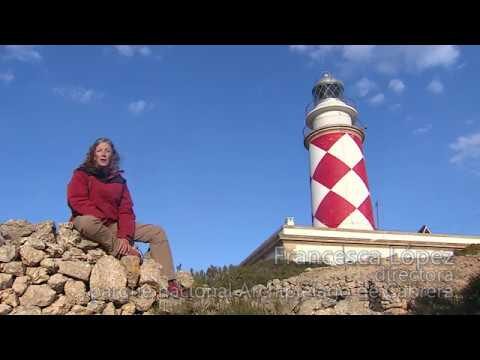 Estrategias para la Conservación de la Biodiversidad en el Archipiélago de Cabrera