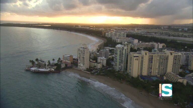 Diversidad Marina en Playas y Dunas Naturales