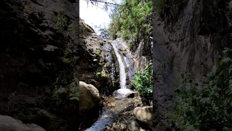 Explorando las Zonas Verdes en los Senderos de la Costa