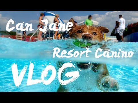 Parques Inclusivos para Perros