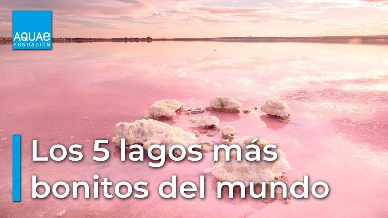 Fauna de Lagos y Lagunas Naturales: Un Viaje de Exploraci&oacute;n