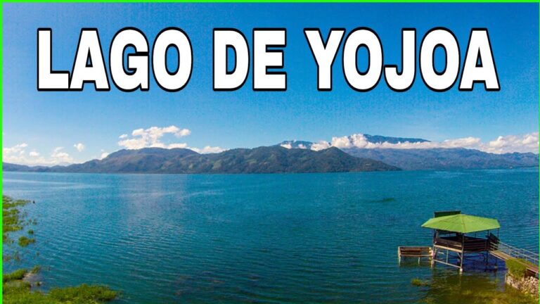 Avistamiento de Aves en Parques Naturales: Una Experiencia Única