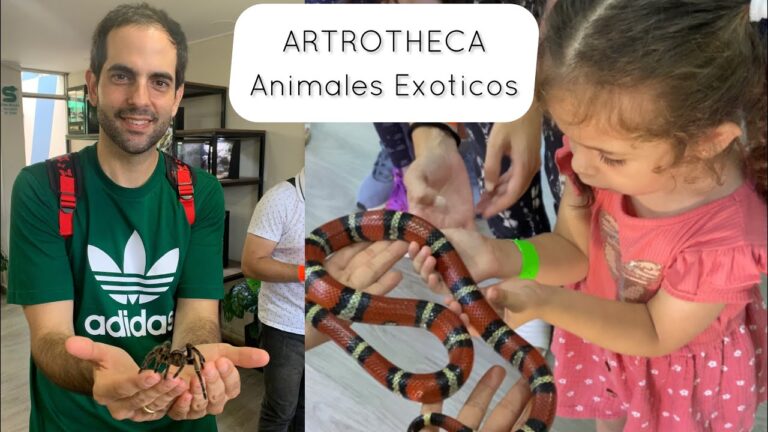 Interacci&oacute;n Segura con Animales Ex&oacute;ticos en Parques de Exhibici&oacute;n