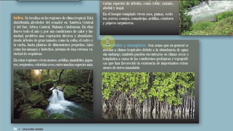 Exploraci&oacute;n de la Naturaleza en Zonas Verdes Costeras