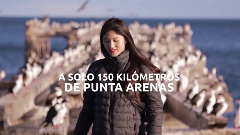Explorando Esculturas en Parques: Un Recorrido Visual