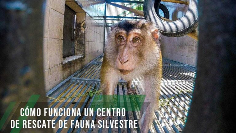 Santuarios para la Conservación de Fauna en Peligro de Extinción
