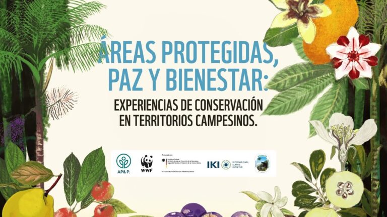 Conexi&oacute;n Vital con la Naturaleza en Parques Naturales