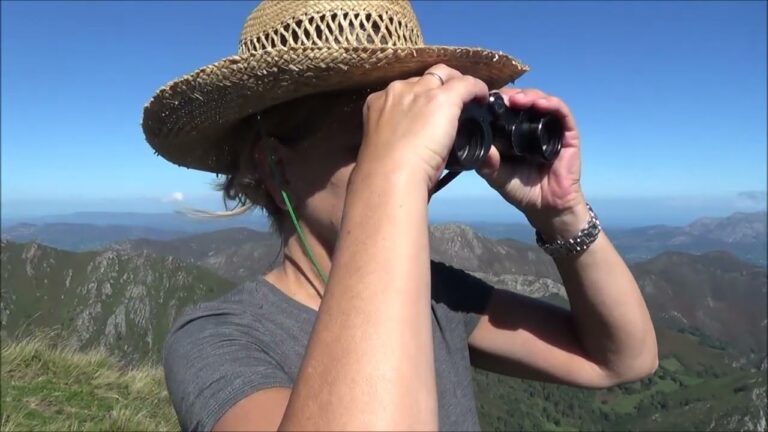 Explorando la Naturaleza en Reservas de Caza