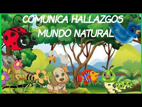 Picnic Familiar: Una Aventura en la Naturaleza