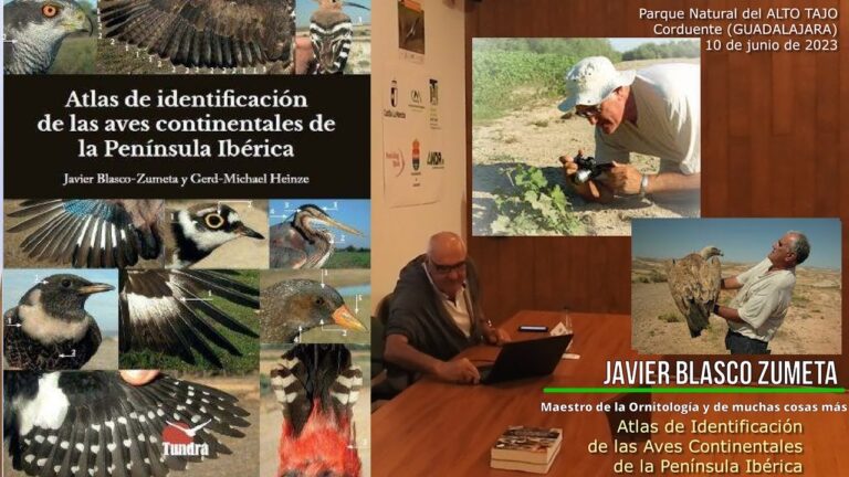 H&aacute;bitat Natural de Aves en Parques Fluviales