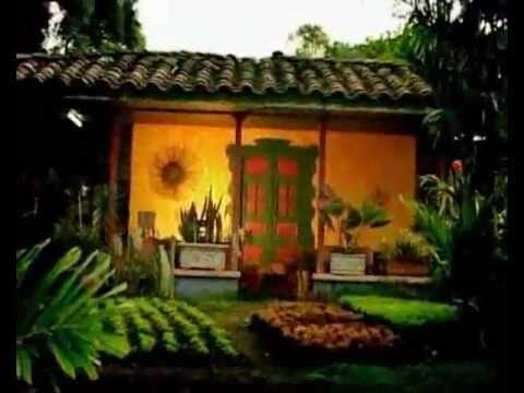 Canopy: Aventura Natural en Parques de Diversiones