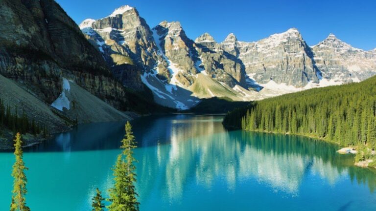 Protección de la Fauna en Monumentos Naturales Marinos