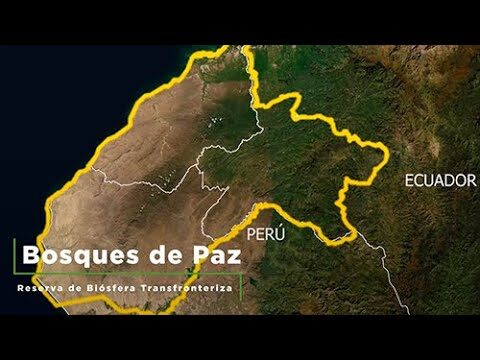 Sanctuarios de Paz: Oasis Verdes en la Ciudad