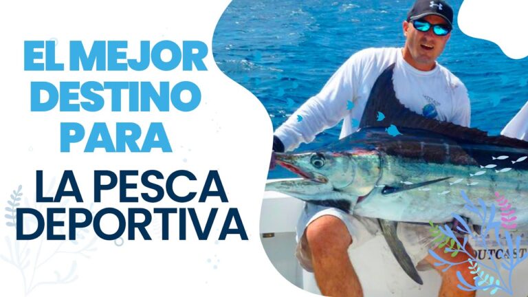 Mejores Destinos de Pesca Recreativa en la Costa
