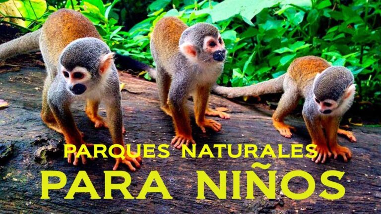 Diversidad Aviar en Parques Naturales