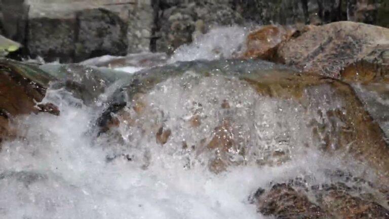 Parques Fluviales: Disfrute Familiar en la Naturaleza