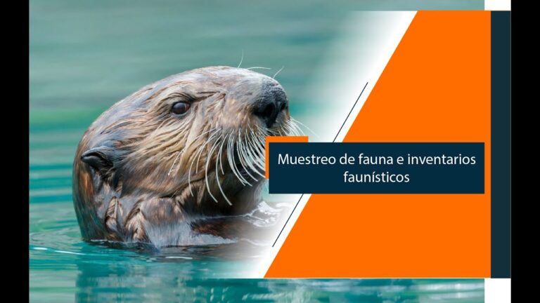 T&eacute;cnicas Efectivas de Monitoreo en la Conservaci&oacute;n de Fauna