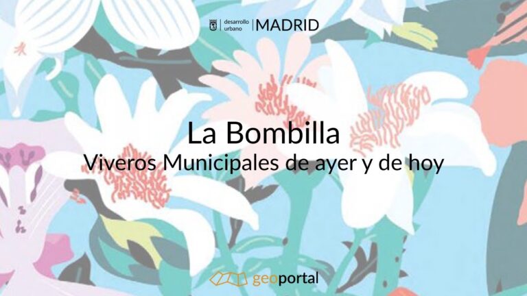 Explorando Parques Arbolados en Bicicleta